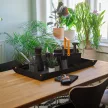 FISKARS Urban Gardening virágvágó olló tárolóval