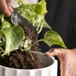 FISKARS Plant Care talajgondozó készlet (5 részes)