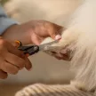 FISKARS PetCare kisállat kozmetikai olló (14 cm)