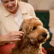 FISKARS PetCare kisállat trimmelő és formázó olló (17 cm)