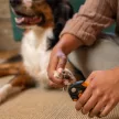 FISKARS PetCare kisállat körömvágó csipesz (15 cm)