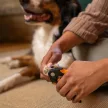 FISKARS PetCare kisállat körömvágó csipesz (15 cm)