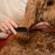 FISKARS PetCare kisállat fésű (11 cm)