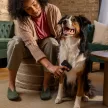 FISKARS PetCare kisállat szőrbontó kefe (16 cm)