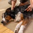 FISKARS PetCare kisállat szilikon kefe (16 cm)