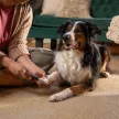 FISKARS PetCare kisállat körömreszelő (18 cm)